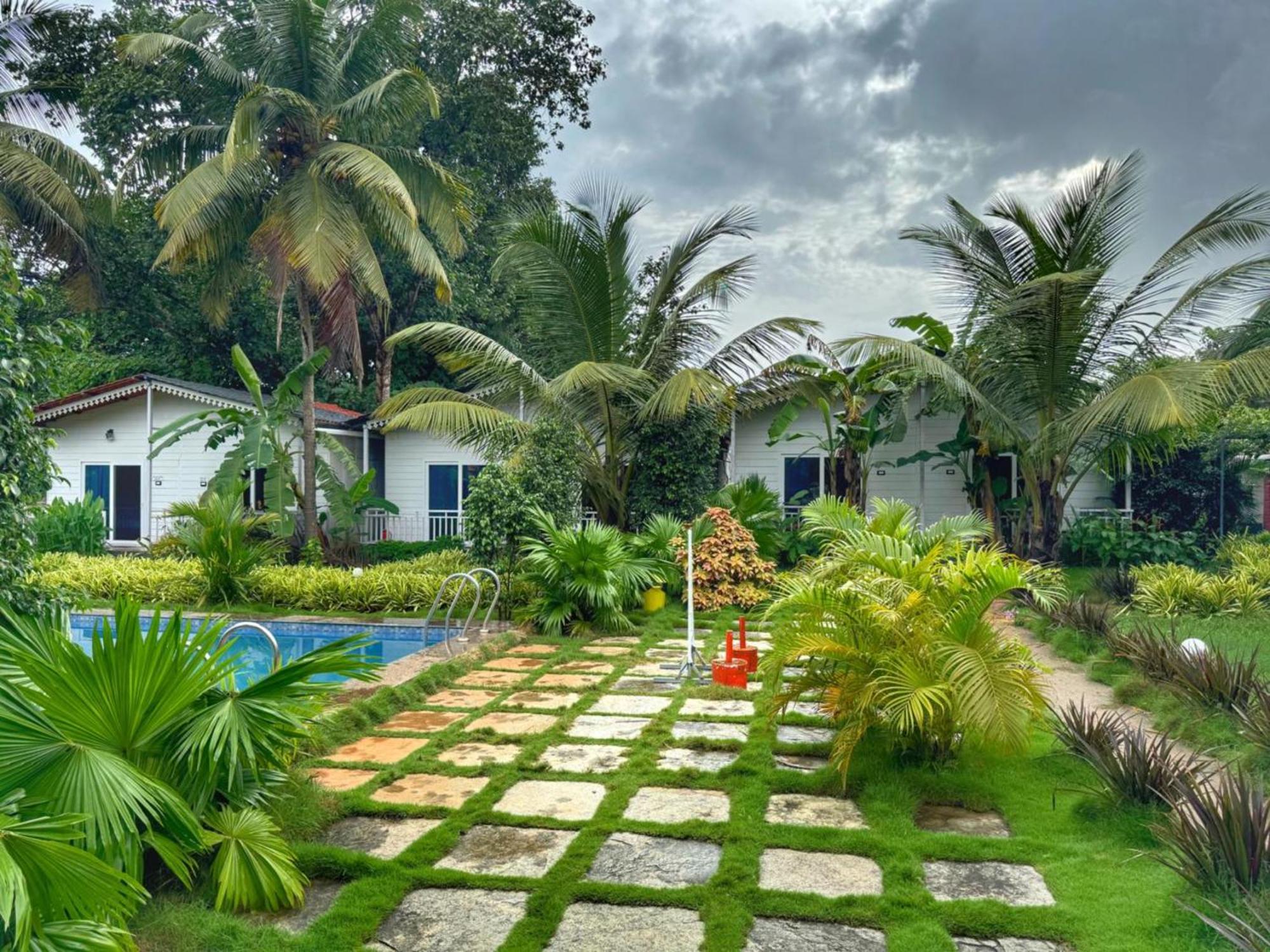 White Truffle Resort, Arambol Εξωτερικό φωτογραφία